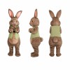 Rabbit Mascot Costume in Brown with Green Vest Adult
