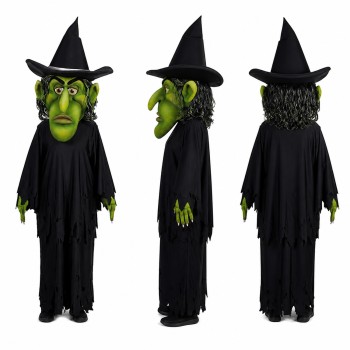 Witch Mascot Costume in Green with Black Robe Adult