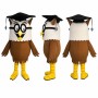 Graduate Owl Mascot Costume in Brown with Black Cap Adult