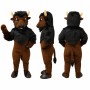 Bison Mascot Costume in Brown and Black with Short Horns Adult