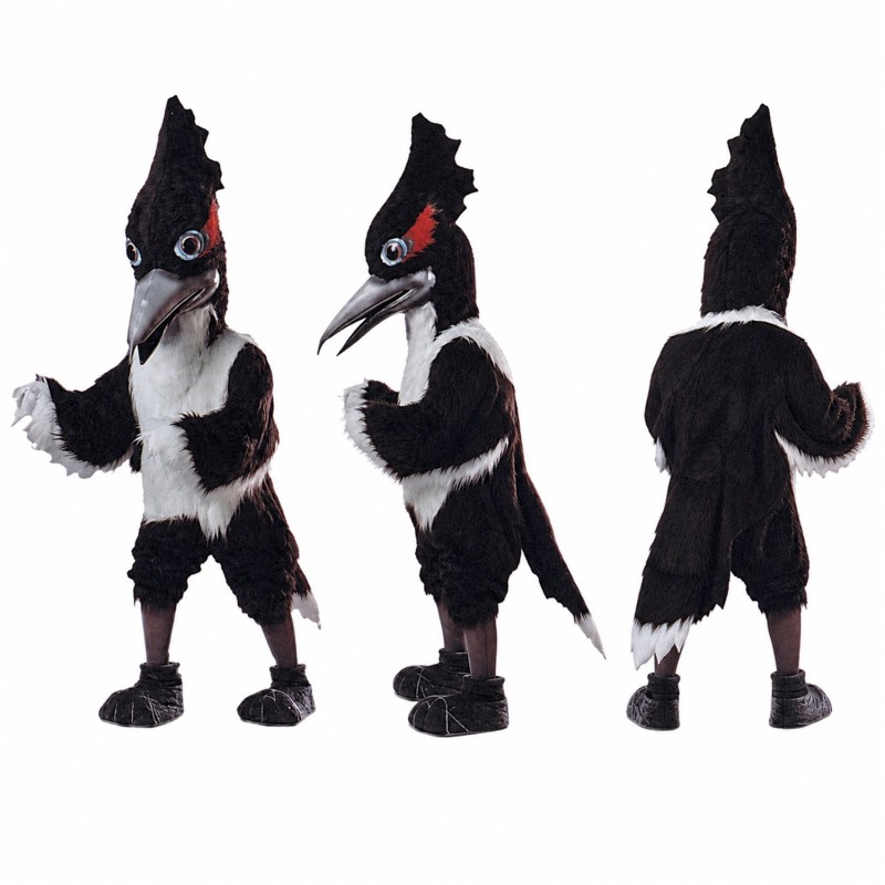 Magpie Mascot Costume in Black and White with Tall Crest Adult