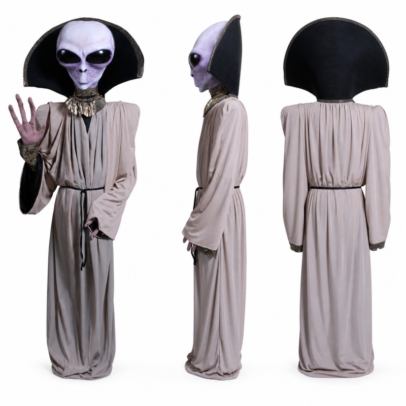 Alien Mascot Costume in Gray Robe with Large Head Adult
