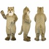 Cat Mascot Costume in Gray with Cream Chest Adult