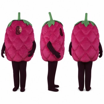 Raspberry Mascot Costume in Purple with Green Stem Adult