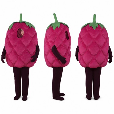 Raspberry Mascot Costume in Purple with Green Stem Adult