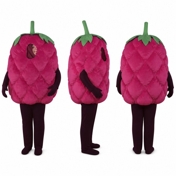 Raspberry Mascot Costume in Purple with Green Stem Adult