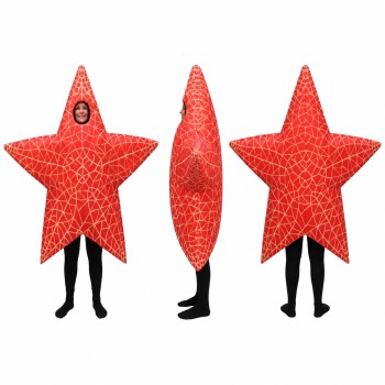 Star Mascot Costume in Red with Geometric Pattern Adult