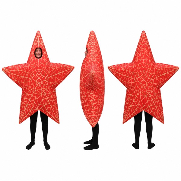 Star Mascot Costume in Red with Geometric Pattern Adult