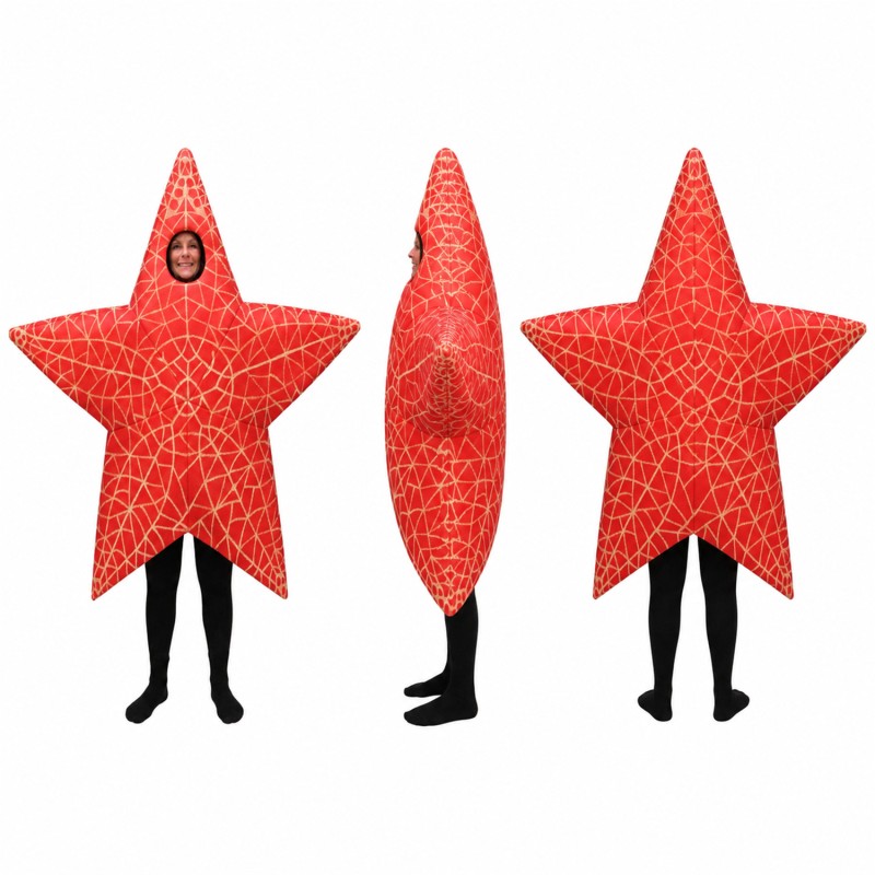 Star Mascot Costume in Red with Geometric Pattern Adult