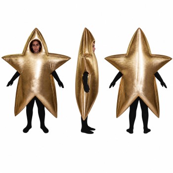 Star Mascot Costume in Metallic Gold Adult