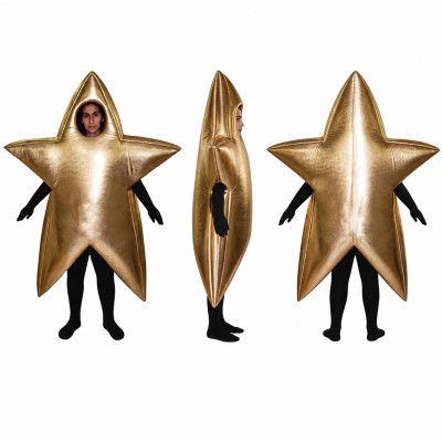 Star Mascot Costume in Metallic Gold Adult