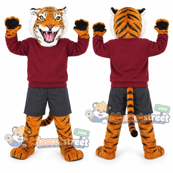 Bengal Tiger Mascot Costume with Burgundy Sweatshirt