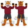 Bengal Tiger Mascot Costume with Burgundy Sweatshirt