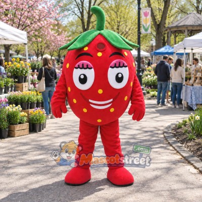 Strawberry Mascot Costume