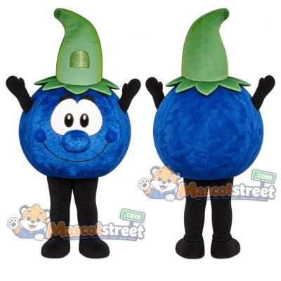 Blueberry Mascot Costume Blueberry Mascot Costume