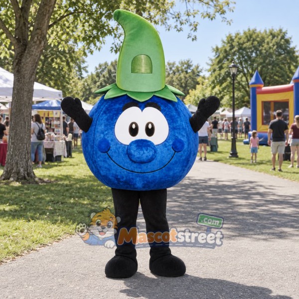 Blueberry Mascot Costume