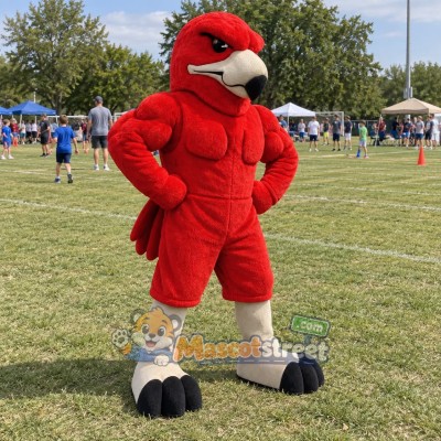 Red Hawk Mascot Costume