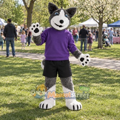 Gray Husky Mascot Costume with Purple Sweater and Black Shorts