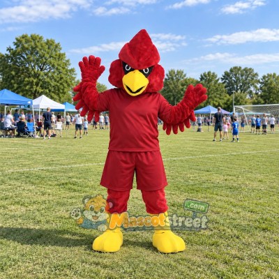 Red Eagle Mascot Costume with Burgundy Shirt and Shorts