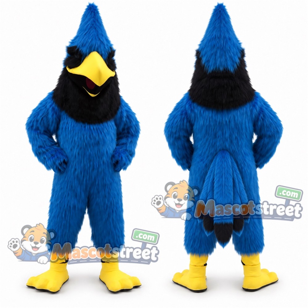 Blue Jay Mascot Costume Blue Jay Mascot Costume