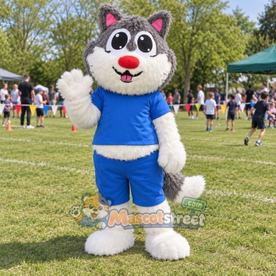 Gray and White Wolf Mascot Costume with Blue Shirt and Shorts Gray and White Wolf Mascot Costume with Blue Shirt and Shorts