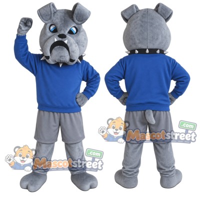 Gray Bulldog Mascot Costume with Blue Sweatshirt and Gray Shorts Gray Bulldog Mascot Costume with Blue Sweatshirt and Gray Shorts