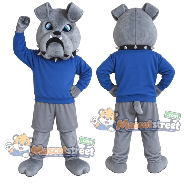 Gray Bulldog Mascot Costume with Blue Sweatshirt and Gray Shorts