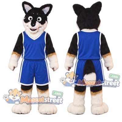 Black and White Canine Mascot Costume with Blue Sports Uniform Black and White Canine Mascot Costume with Blue Sports Uniform