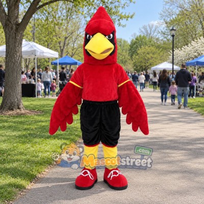 Red Cardinal Mascot Costume with Red Shirt and Black Shorts