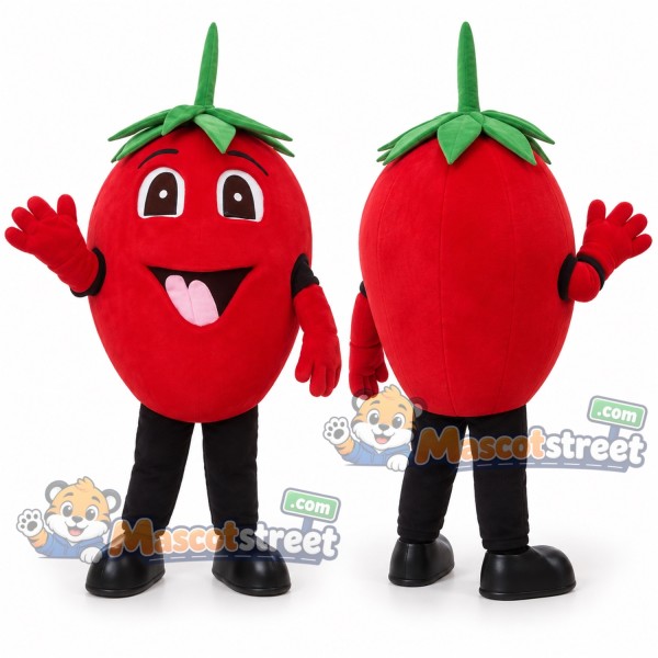 Strawberry Mascot Costume