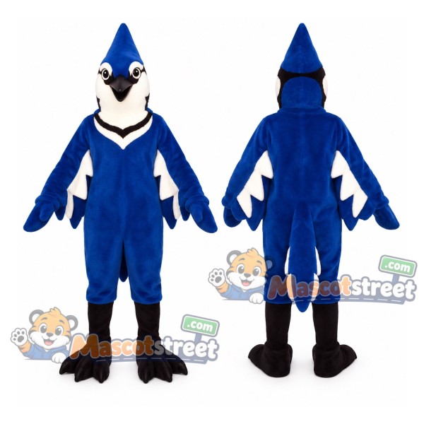 Blue Jay Mascot Costume