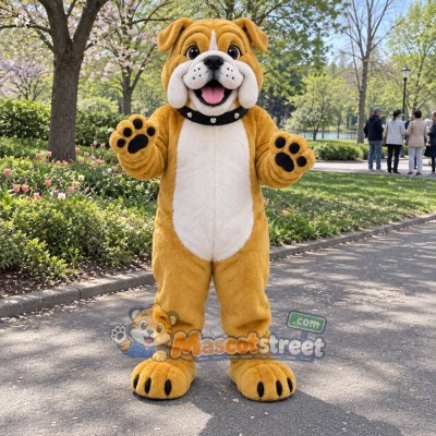 Tan Bulldog Mascot Costume with Black Collar Tan Bulldog Mascot Costume with Black Collar