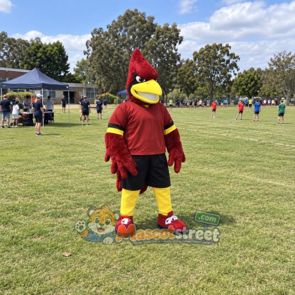 Red Cardinal Mascot Costume with Burgundy Shirt and Black Shorts
