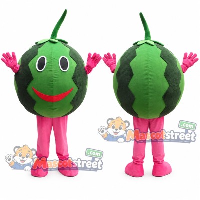 Watermelon Mascot Costume