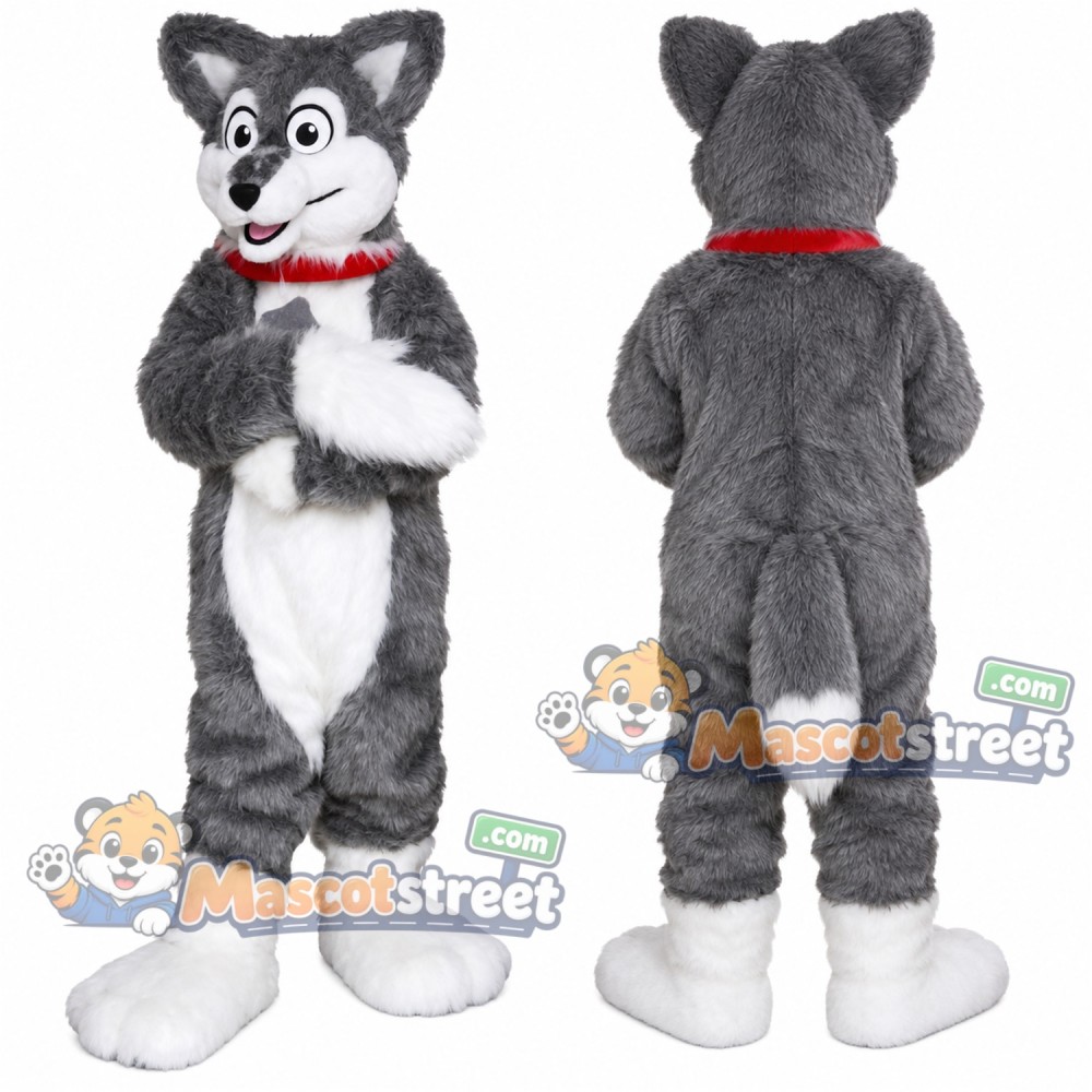 Gray Wolf Mascot Costume with Red Collar