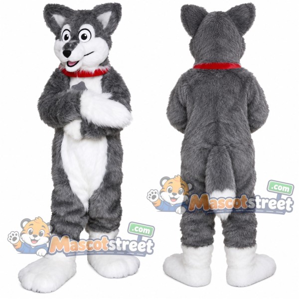 Gray Wolf Mascot Costume with Red Collar