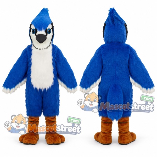 Blue Jay Mascot Costume