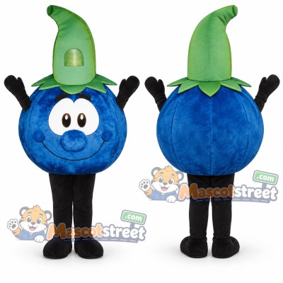 Blueberry Mascot Costume
