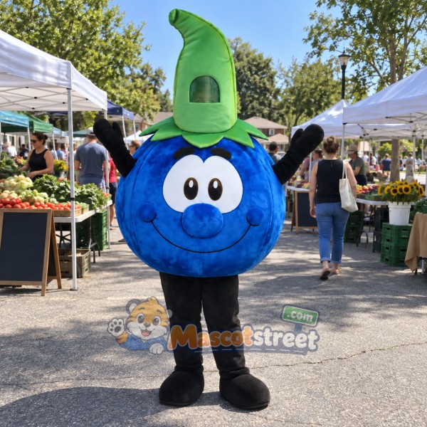 Blueberry Mascot Costume