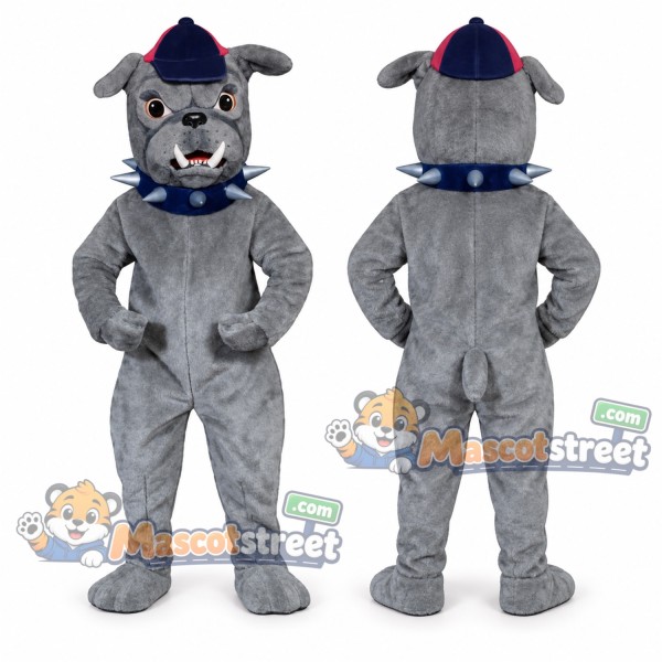 Gray Bulldog Mascot Costume with Blue Collar and Plaid Cap