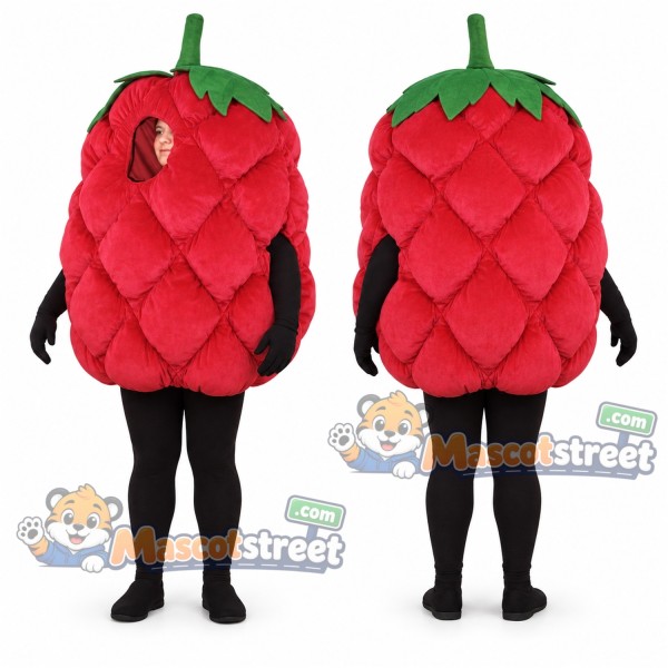 Raspberry Mascot Costume