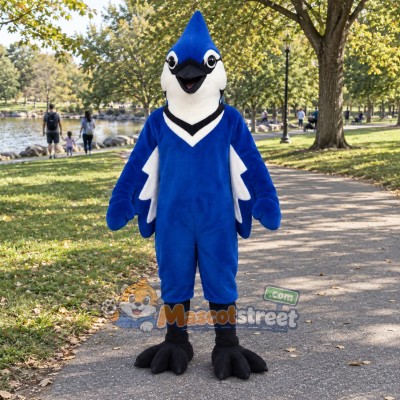 Blue Jay Mascot Costume