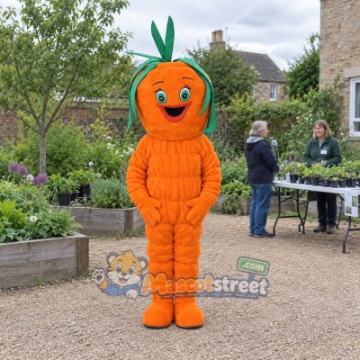 Carrot Mascot Costume
