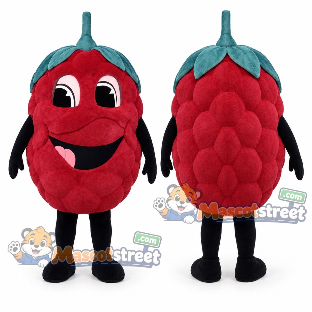 Red Raspberry Mascot Costume Red Raspberry Mascot Costume