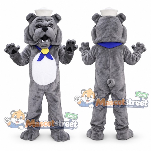 Gray Bulldog Mascot Costume with Blue Bow Tie and Sailor Hat