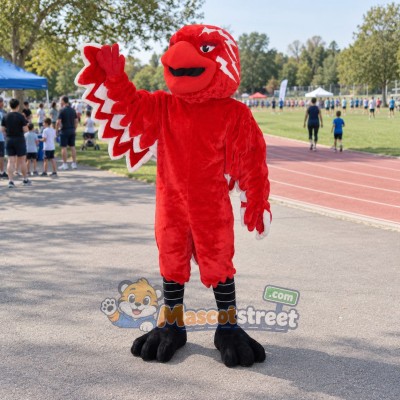 Red Bird Mascot Costume